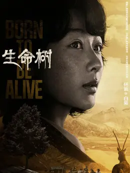 白菊（杨紫饰演）