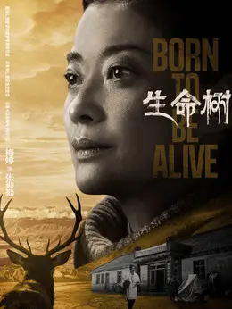 张勤勤（梅婷饰演）